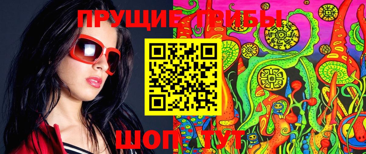 Владимир  Псилоцибиновые грибы Psilocybe  Вход с VPN 